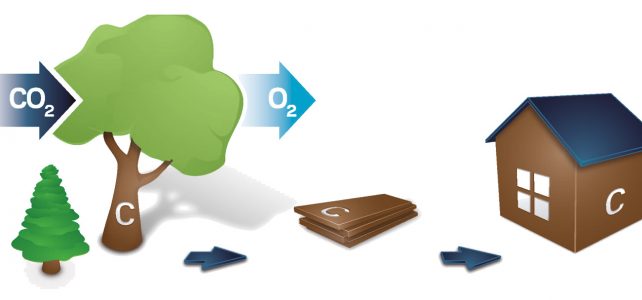 LivingCon ist Partner der CO₂-Bank LivingCon ist Partner der CO₂-Bank